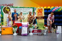 Ветеринарная клиника Весёлый шпиц, с рейтингом 2.8 - находится по адресу Нижний Тагил, Черноисточинское шоссе, 68/3 
