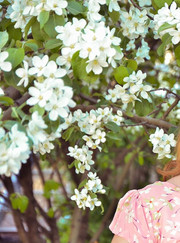 Дизайнер Лилия Ризванова