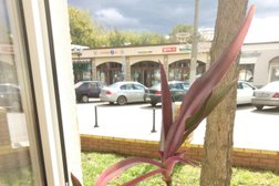 Кафе Вятский край, с рейтингом 4.8 - находится по адресу Московская область, Звенигород, Московская улица, 29 