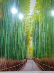 Благоустройство территории, маляр-штукатур Андрей Викторович Коротких