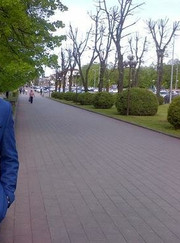 Мастер по настройке и ремонту компьютеров, системный администратор Максим С.