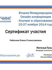 Преподаватель по физике Елена Станиславовна Чибисова