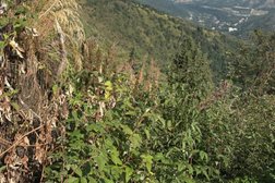 База семейного отдыха Шале Кок-Жайлау, с рейтингом 5 - находится по адресу Алматы, Казачка, 35 