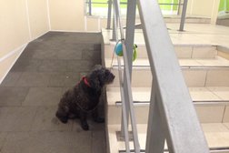 Супермаркет Дикси, с рейтингом 4 - находится по адресу Москва, Волгоградский проспект, 3-5 ст2 