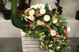 Торговая компания искусственных растений, декора и упаковки Альсид, с рейтингом 4.7 - находится по адресу Ленинградская область, Колтуши, Новосергиевский проезд, 1 