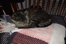 Хинкальная №1, с рейтингом 3.8 - находится по адресу Белгород, Соборная площадь, 1Б 