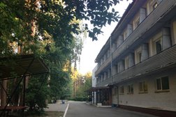 Лесная сказка