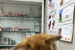 Ветеринарная клиника Милый друг, с рейтингом 2.8 - находится по адресу Владивосток, улица Кирова, 9а 