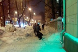 Страховая компания СберСтрахование, с рейтингом 3.2 - находится по адресу Самара, Юбилейная, 46 