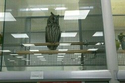 Зоомаркет ЛеМуррр, с рейтингом 2.6 - находится по адресу Ставрополь, Доваторцев, 61а 