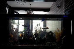 Семейное кафе Рандеву, с рейтингом 4.5 - находится по адресу Республика Дагестан, Дербент, улица Юрия Гагарина, 10 