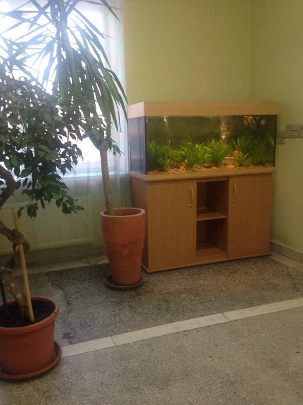 фотография IT-компании Ай Ти Сервис