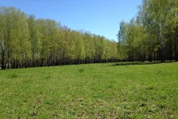 Парк культуры и отдыха Пролетарский, с рейтингом 3.3 - находится по адресу Тула, улица Кутузова, 131а 