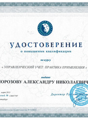 Бизнес-консультант Александр Николаевич Морозов