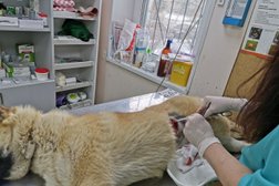 Ветеринарный кабинет на Комсомольском проспекте, с рейтингом 2.7 - находится по адресу Челябинск, Комсомольский проспект, 24 