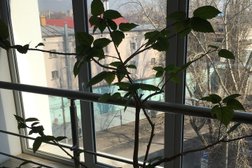 Арбитражный суд Воронежской области, с рейтингом 5 - находится по адресу Воронеж, Средне-Московская улица, 77 