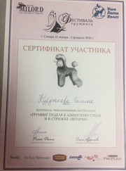 Грумер Курдюкова Г.