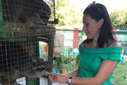 Зоомагазин Ваш zoo, с рейтингом 4 - находится по адресу Новороссийск, Анапское шоссе, 108 