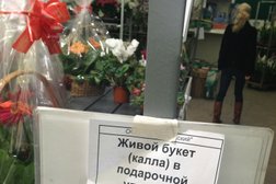 Супермаркет Дикси, с рейтингом 4.3 - находится по адресу Москва, Московский, 3-й микрорайон, 1 ст3а 
