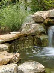 Ландшафтный дизайнер Александр Евгеньевич Харьков