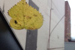 Бизнес-центр Вектор, с рейтингом 2.5 - находится по адресу Владимир, улица Батурина, 39 