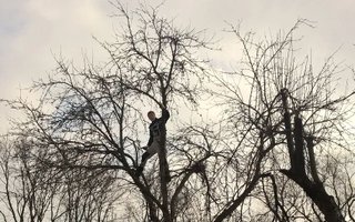 фотография работы специалиста Алексея Игоревича Басалаева