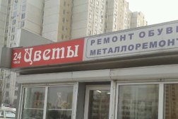 Цветы 24