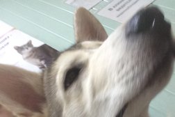 Ветеринарная клиника Артемида Плюс, с рейтингом 2.1 - находится по адресу Республика Марий Эл, Йошкар-Ола, Пролетарская улица, 60а 