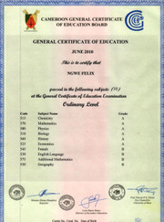 Преподаватель английского языка, преподаватель французского языка Ngwe Felix