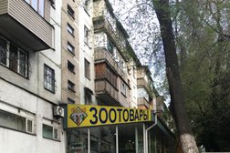 Магазин зоотоваров и аквариумов DiamondPet, с рейтингом 3.7 - находится по адресу Алматы, Сейфуллина проспект, 452 