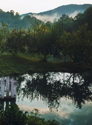 Фотограф Софья Андреевна Бузакова