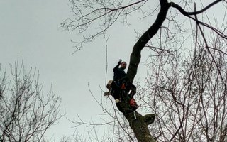 фотография работы фрилансера Николая Сергеевича Воронова
