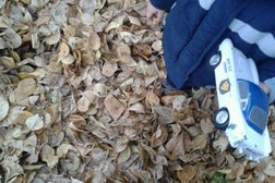 Детский сад общеразвивающего вида №89, с рейтингом 2.3 - находится по адресу Томск, улица Никитина, 62 