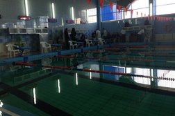 Спортивно-оздоровительный центр Спутник, с рейтингом 2.8 - находится по адресу Тульская область, Донской, улица Школьная, 18 