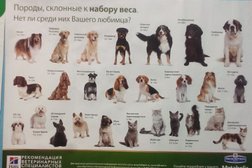Ветеринарный кабинет Мурманская областная станция по борьбе с болезнями животных, с рейтингом 3.5 - находится по адресу Мурманск, улица Полины Осипенко, 8 