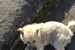 Бистро Bekker, с рейтингом 4 - находится по адресу Республика Карелия, Петрозаводск, площадь Гагарина, 2 