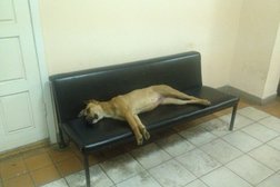 Сызранский автовокзал, с рейтингом 4 - находится по адресу Самарская область, Сызрань, Московская улица, 14 