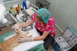 Ветеринарная клиника ЗооВита, с рейтингом 3.3 - находится по адресу Казань, Ломжинская, 3а 