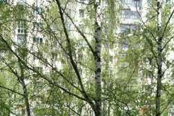 Ростелеком, с рейтингом 5 - находится по адресу Томск, проспект Фрунзе, 83а 