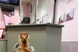 Зоосалон Багира, с рейтингом 4 - находится по адресу Москва, Федеративный проспект, 16, корп. 1 