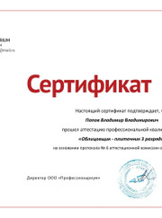 Мастер по ремонту ванной и туалета, дизайнер Владимир Владимирович Попов