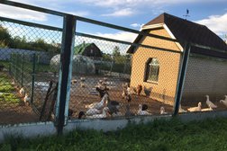 Рынок Сойкино, с рейтингом 3.8 - находится по адресу Ленинградская область, д. Сойкино, Центральная улица, 28А 