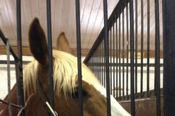 Конный клуб Ранчо Аванпост, с рейтингом 4.1 - находится по адресу Московская область, Можайск, улица Герасимова, 1 ст2 