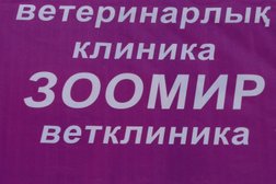 Магазин по продаже зоотоваров
