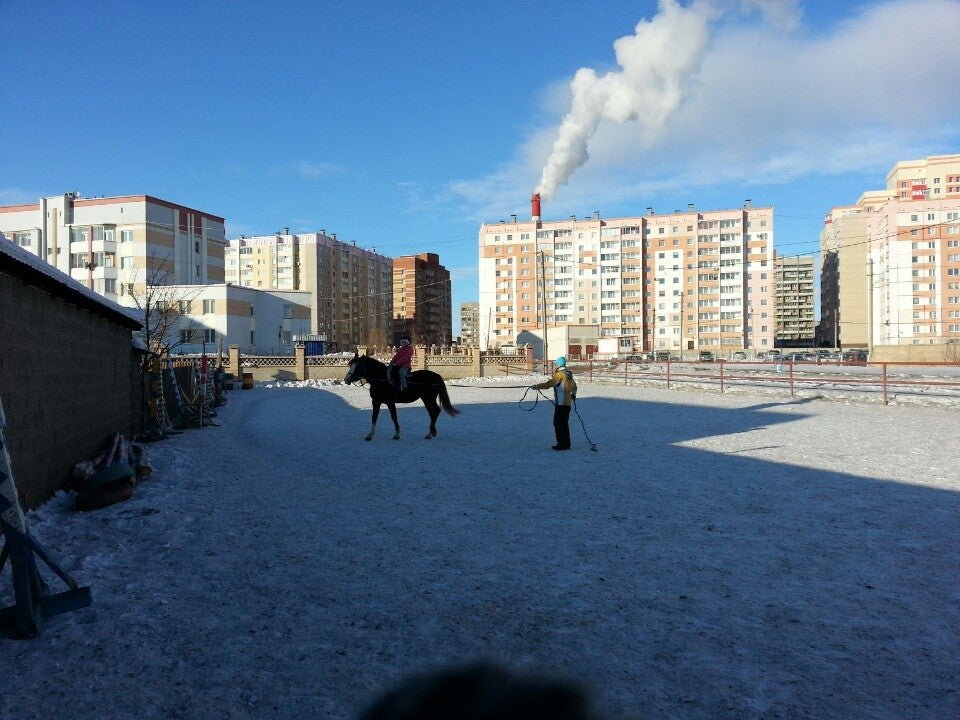 концерт БГ в Белой лошади - Picture of White Horse Bar, Volgograd - Tripadvisor