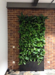 Ландшафтный дизайнер Ольга Владимировна Блинова