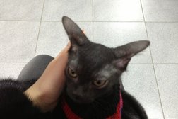 Ветеринарная клиника Вет.Профи, с рейтингом 3.4 - находится по адресу Ставрополь, 45-я Параллель, 38 