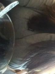 Выгульщик собак, домработница Ирина Владимировна Воронцова