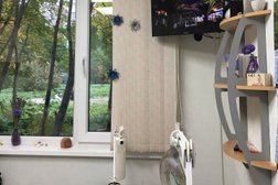 Студия красоты, с рейтингом 4.3 - находится по адресу Мурманск, улица Баумана, 16 