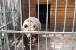 Гостевые дома Охотничий клуб, с рейтингом 4.2 - находится по адресу Республика Татарстан, Казань, Ново-Давликеевская улица, 140 